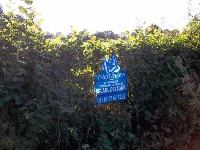 Terrain vente à Avesnes-sur-Helpe, Beaurepaire-sur-sambre