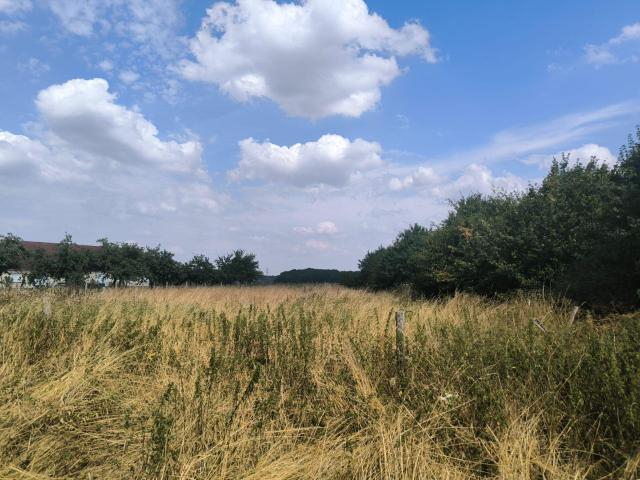 Terrain vente à Bernay, Bérengeville-la-campagne