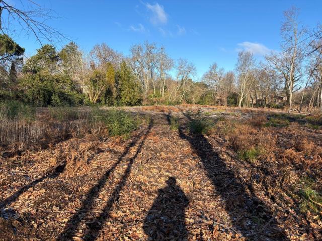 Terrain vente à Bordeaux, Blanquefort