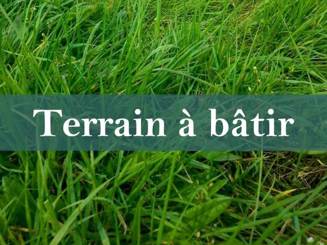 Terrain vente à Saumur, Brain-sur-allonnes