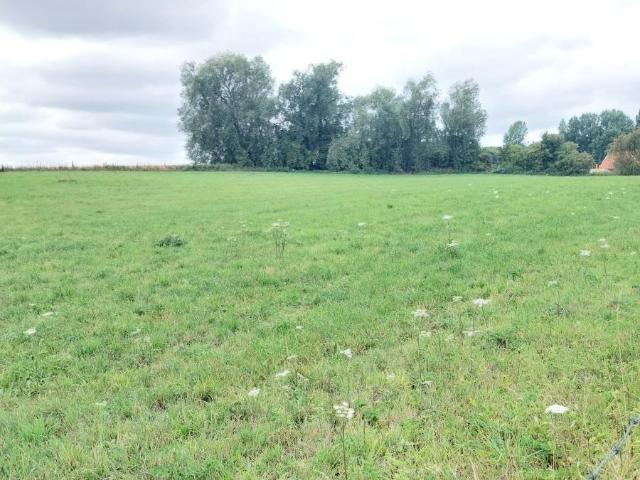 Terrain vente à Arras, Camblain-l'abbé
