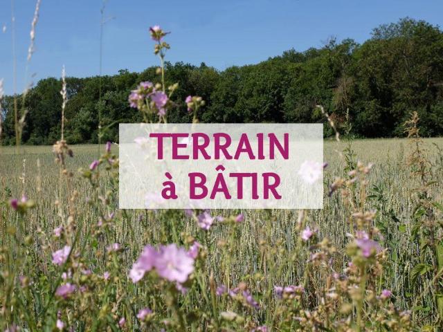 Terrain vente à Le Mans, Champagne