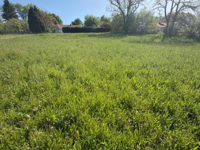 Terrain vente à Bellac, Châteauponsac