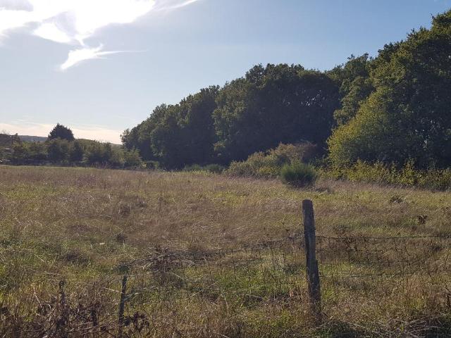 Terrain vente à Romorantin-Lanthenay, Châtres-sur-cher