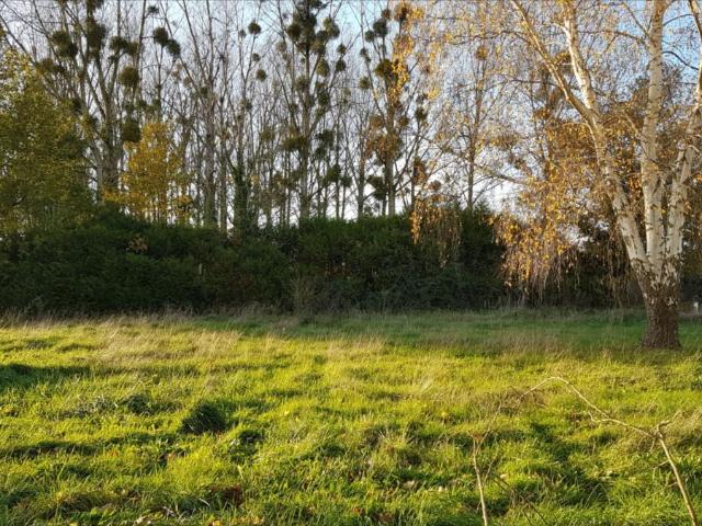 Terrain vente à Saumur, Cheviré-le-rouge
