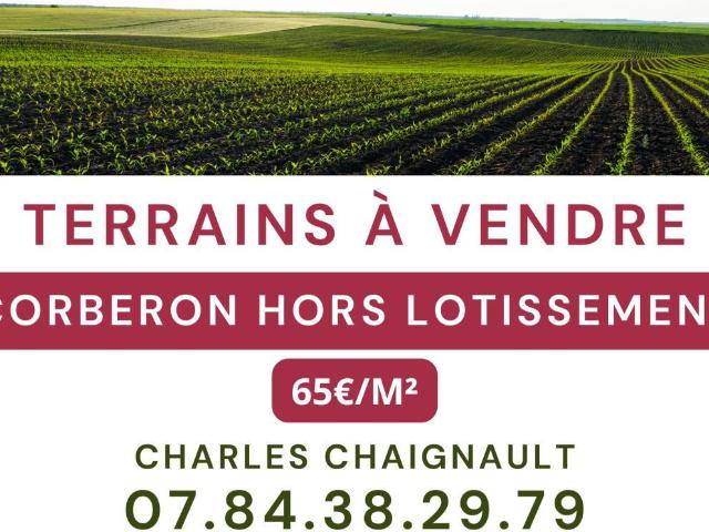 Terrain vente à Beaune, Corberon