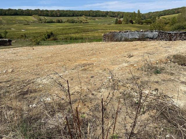 Terrain vente à Fleury-la-Rivière, Marne