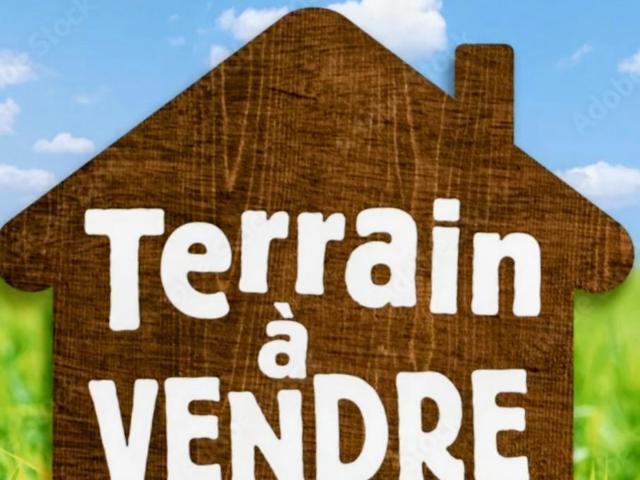 Terrain vente à Châteaubriant-Ancenis, Bonnoeuvre