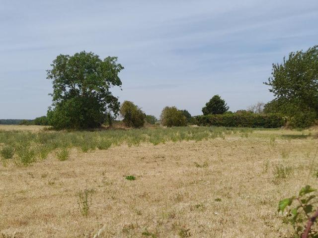 Terrain vente à Châtellerault, Saint-jean-de-sauves