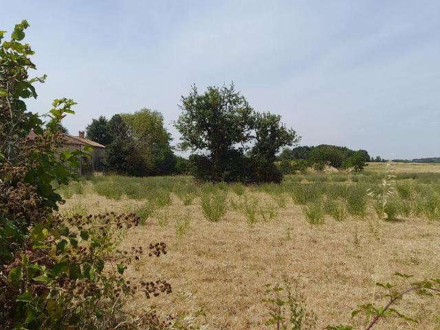Terrain vente à Châtellerault, Saint-jean-de-sauves