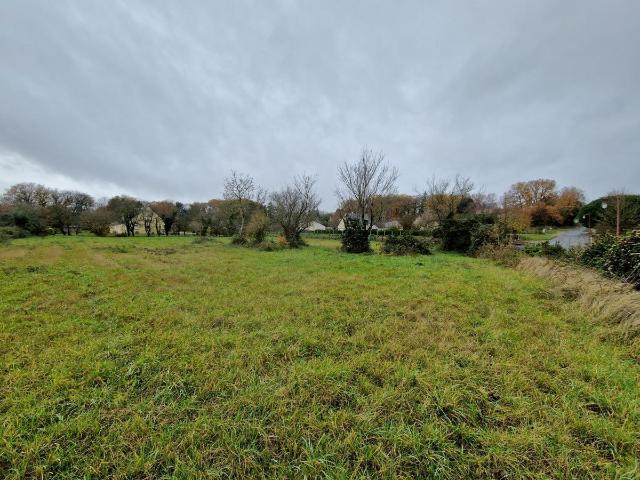 Terrain vente à Saumur, Saulgé-l'hôpital