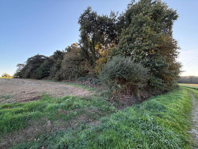 Terrain vente à Pontivy, Bretagne