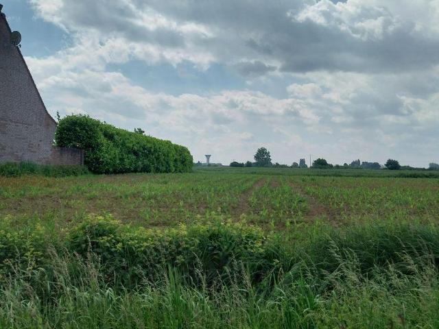 Terrain vente à Béthune, La Couture