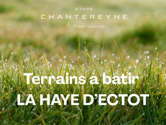 Terrain vente à Cherbourg, La Haye-d'ectot