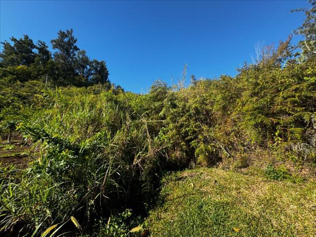 Terrain vente à La Montagne, Haute-Saône