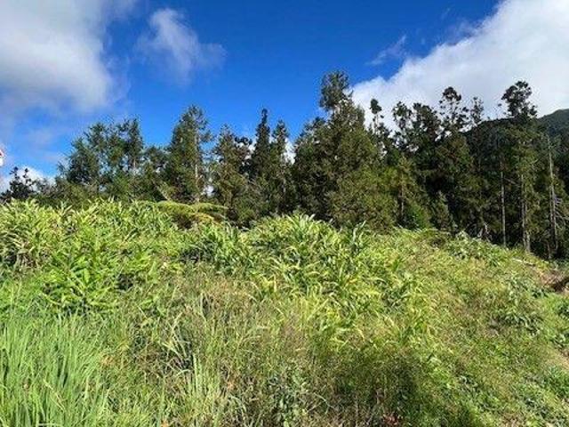 Terrain vente à La Réunion