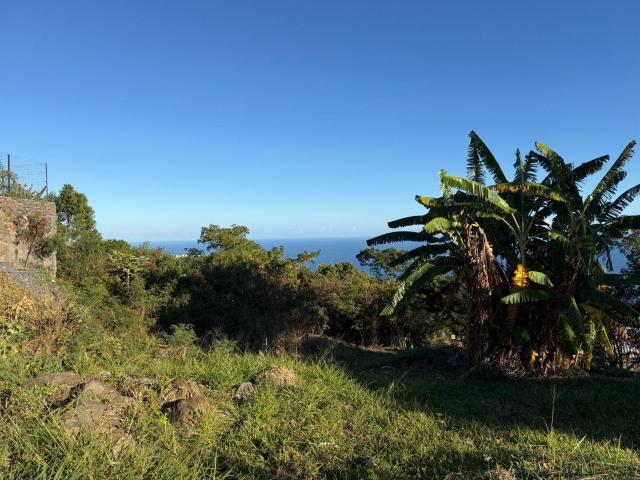Terrain vente à La Réunion