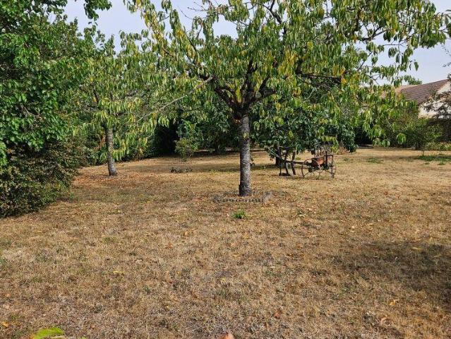 Terrain vente à La Flèche, La Suze-sur-sarthe