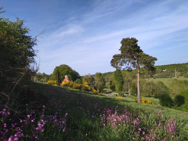 Terrain vente à Bernay, La Trinité-de-réville