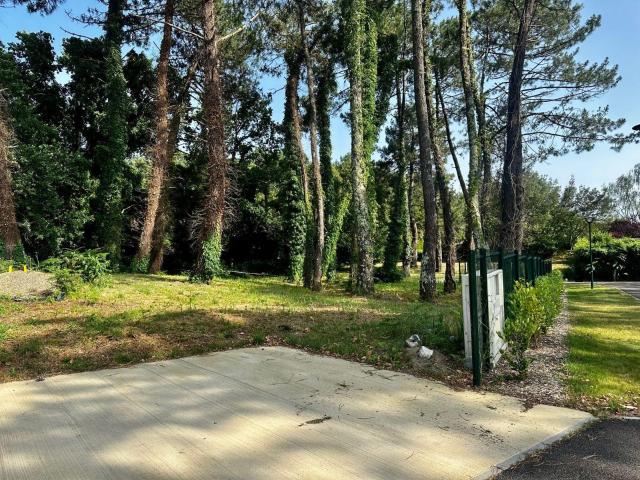 Terrain vente à Dax, Labenne