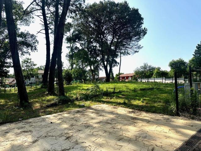 Terrain vente à Dax, Labenne