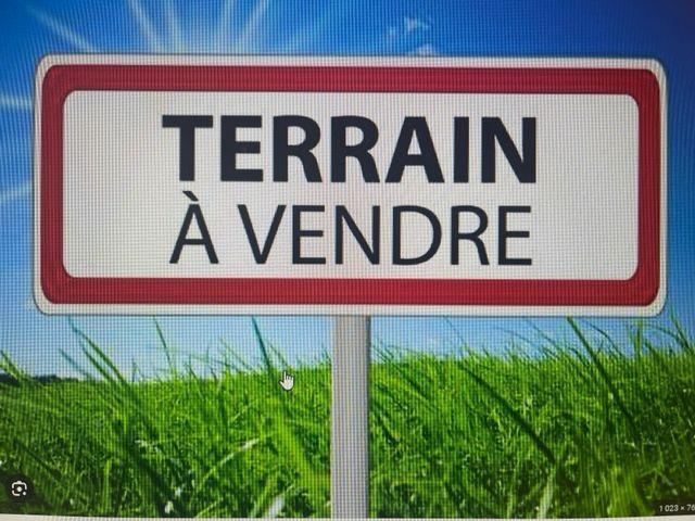 Terrain vente à La Flèche, Le Grand-lucé