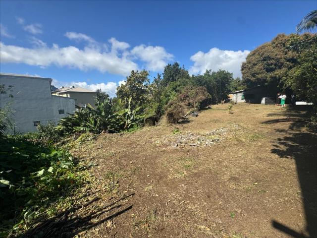 Terrain vente à La Réunion