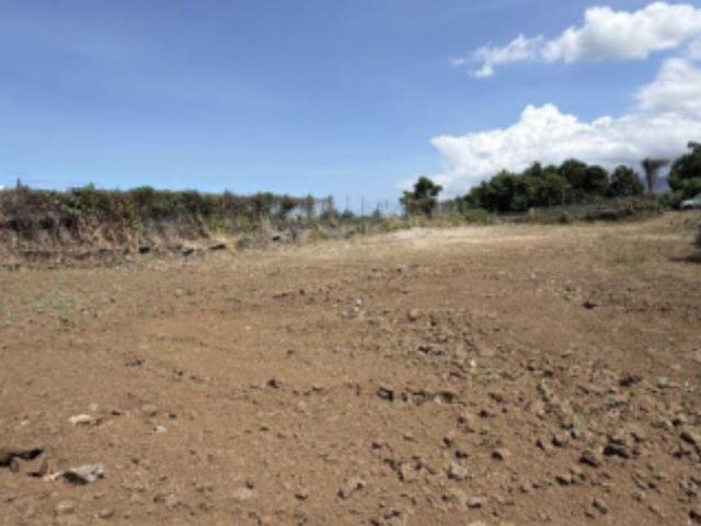 Terrain vente à La Réunion