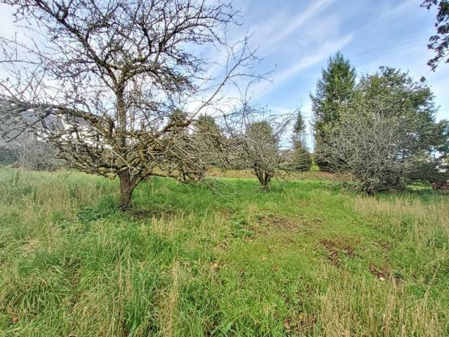 Terrain vente à Locmaria-Berrien, Poullaouen