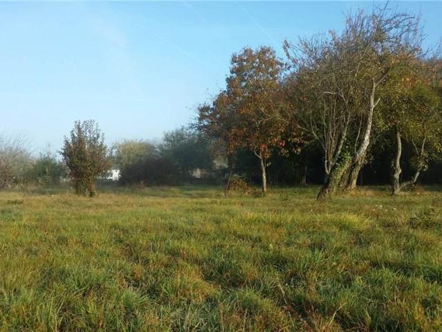 Terrain vente à Châteauroux, Luçay-le-mâle