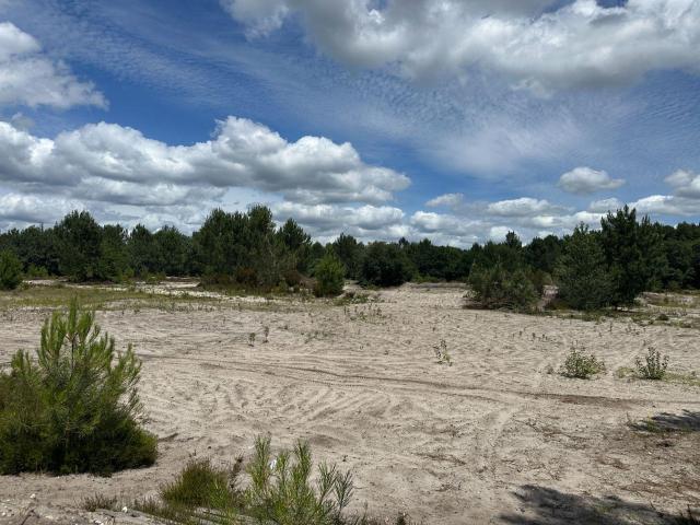 Terrain vente à Arcachon, Mios