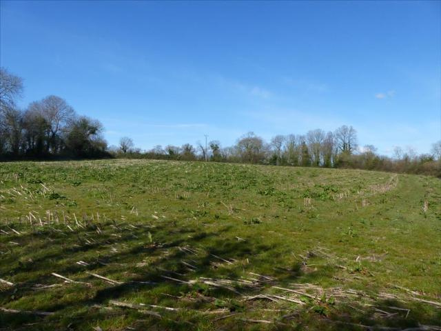 Terrain vente à Coutances, La Haye