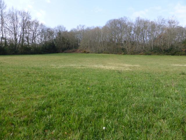 Terrain vente à Tarbes, Monléon-magnoac