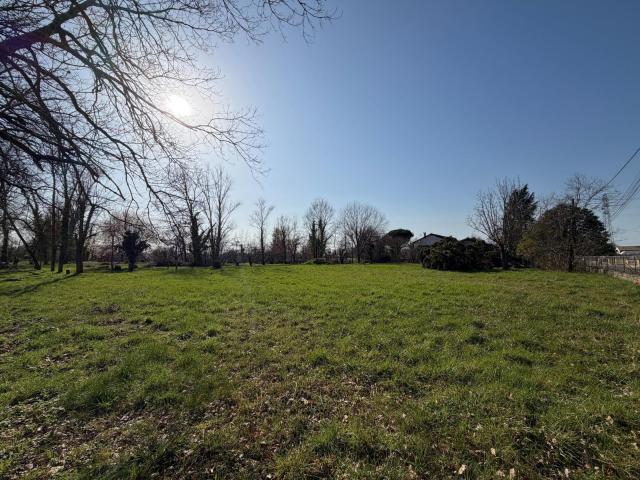 Terrain vente à Montauban