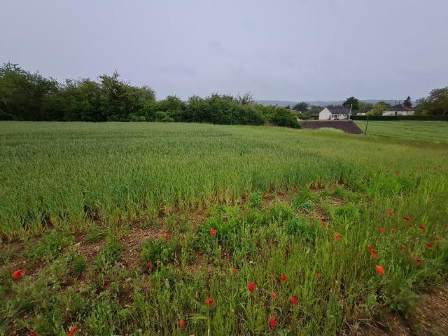 Terrain vente à Vendôme, Montoire-sur-le-loir