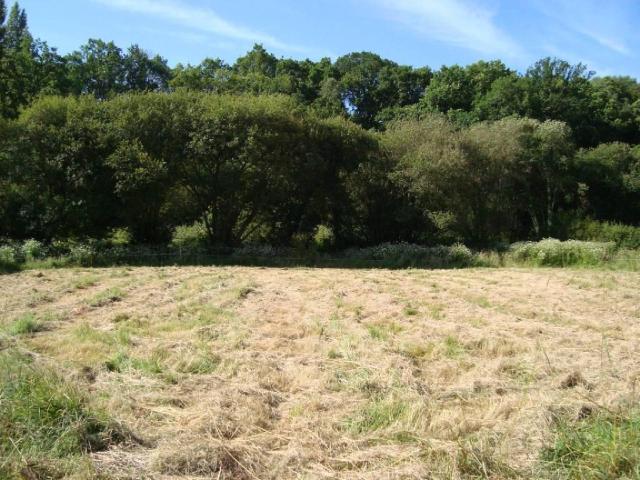 Terrain vente à Pontivy, Bretagne