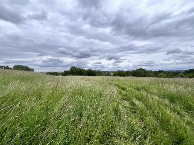 Terrain vente à Fontenay-le-Comte, Pays de la Loire