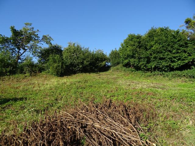 Terrain vente à Reims, Prouilly
