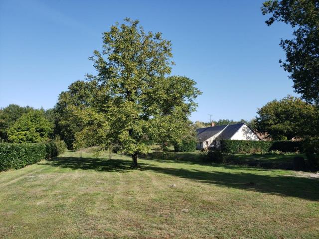 Terrain vente à Romorantin-Lanthenay, Pruniers-en-sologne