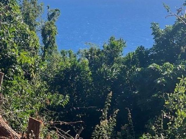 Terrain vente à Saint-Denis, Saint-denis