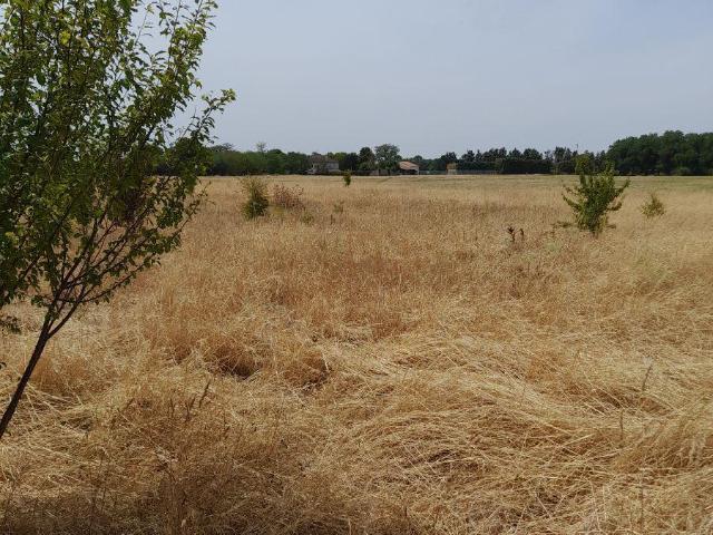 Terrain vente à Châtellerault, Saint-jean-de-sauves