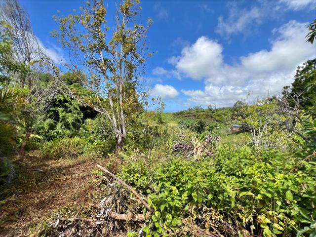 Terrain vente à Cherbourg, Saint-joseph