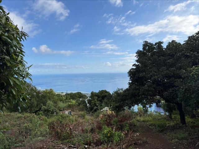 Terrain vente à La Réunion