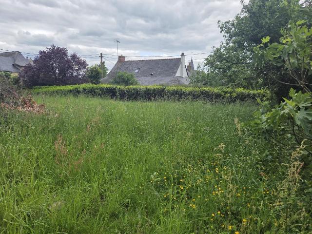 Terrain vente à Château-Gontier, Saint-michel-de-feins