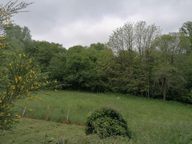 Terrain vente à Rennes, Bretagne