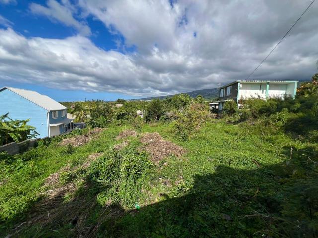 Terrain vente à La Réunion