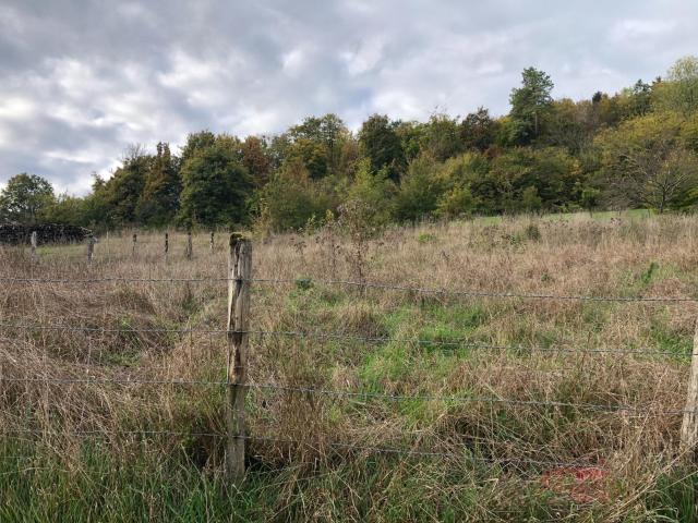 Terrain vente à Bar-le-Duc, Salmagne