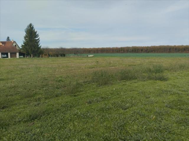 Terrain vente à Bourges, Soye-en-septaine
