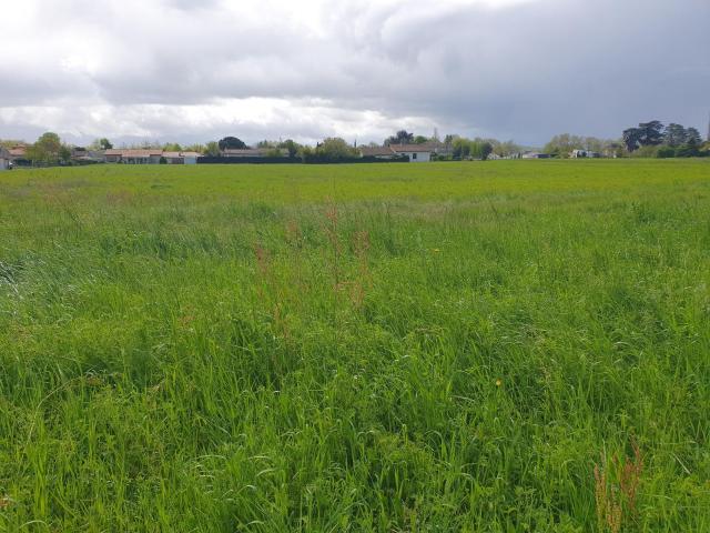 Terrain vente à Valence