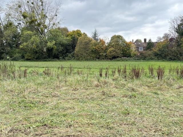 Terrain vente à Boulogne-sur-Mer, Wirwignes